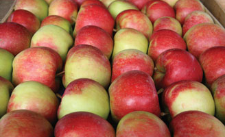 apples